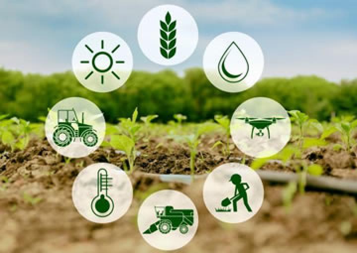 Agriculture Industry Agriculture Industry